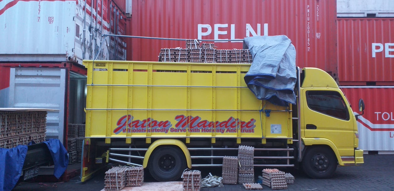 Telur Ayam Ras, Telur Kampung Omega3, Telur Puyuh, Telur Asin, Telur Bebek