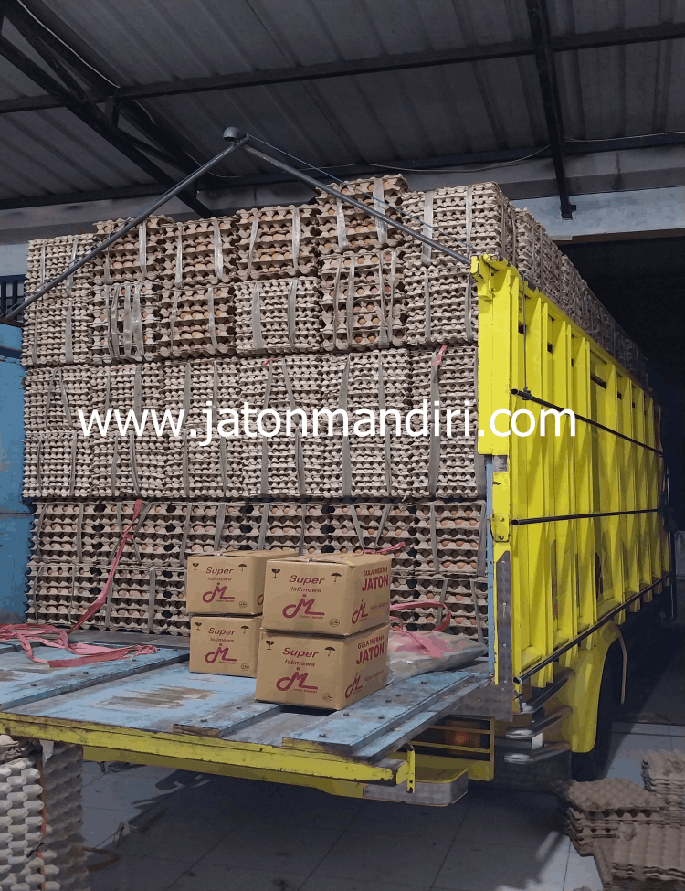 Telur Ayam Ras, Telur Kampung Omega3, Telur Puyuh, Telur Asin, Telur Bebek