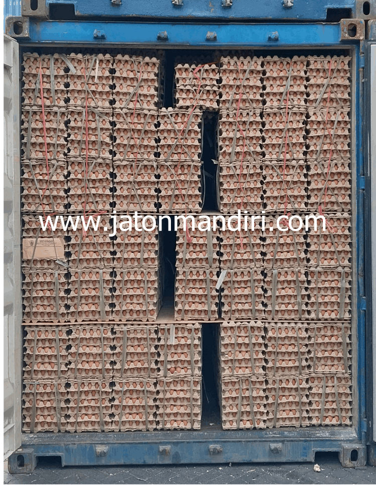 Telur Ayam Ras, Telur Kampung Omega3, Telur Puyuh, Telur Asin, Telur Bebek