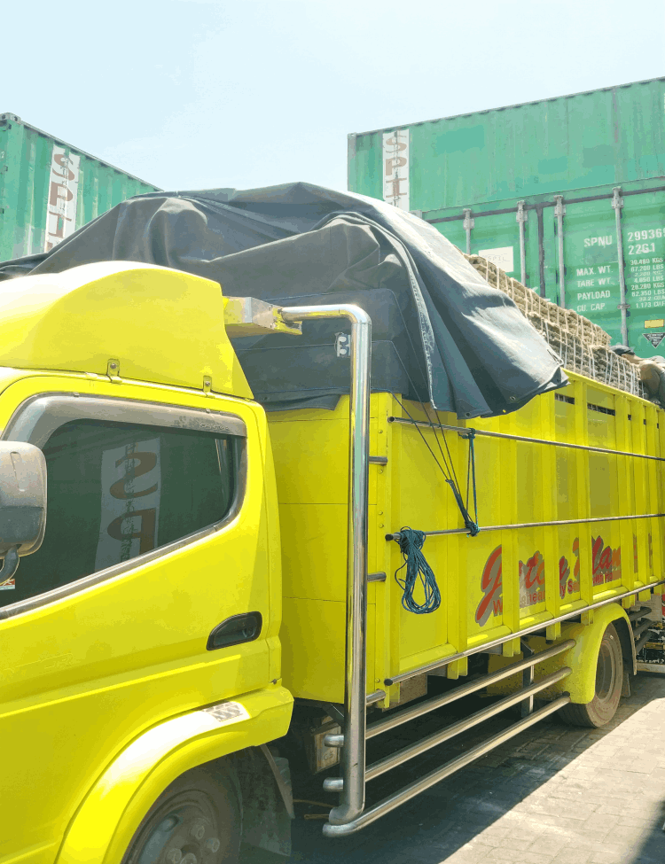 Telur Ayam Ras, Telur Kampung Omega3, Telur Puyuh, Telur Asin, Telur Bebek