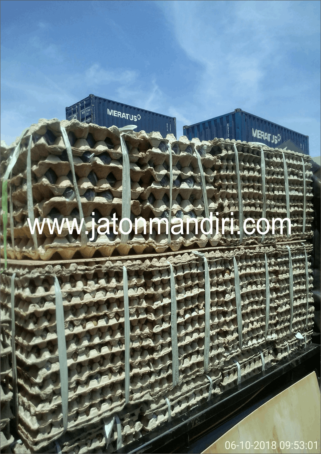 Telur Puyuh Jaton, Jaton Mandiri